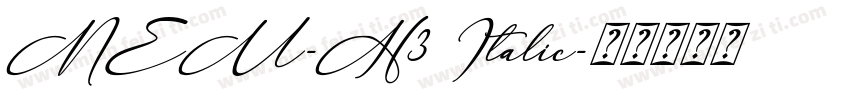 NEU-H3 Italic字体转换